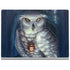 Ed Beard Jr. White Owl Surface Book 2 13.5in Skin